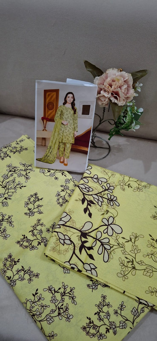 MS 3pc Karandi suit