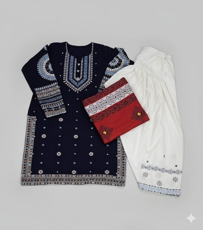 MS 3Pc tailored Pashmeena Shawl Suit